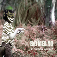 Big Merino - Suburban Wildlife