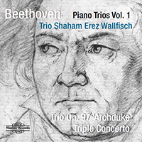 Shaham, Hagai - Beethoven: Piano Trios Vol. 1