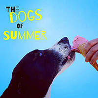 Dogs Of Summer - The Dogs Of Summer
