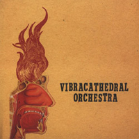 Vibracathedral Orchestra - Wisdom Thunderbolt