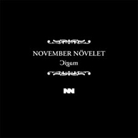 November Noevelet - Magic
