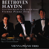 Vienna Piano Trio - Vienna Piano Trio: Beethoven's & Haydn's Chamber Works (CD 1)