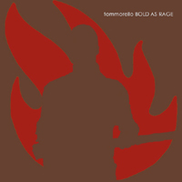 Tom Morello & The Nightwatchman - Bold As Rage