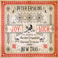 Peter Erskine - Joy Luck