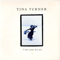 Tina Turner - I Don't Wana Lose You