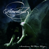 Amederia - Sometimes We Have Wings...