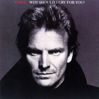 Sting - Why Should I Cry For You (Japan Single)