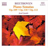 Jeno Jando - Beethoven - Complete Piano Sonates, NN 30, 31, 32