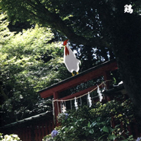 Merzbow - 13 Japanese Birds (CD 10): Niwatori