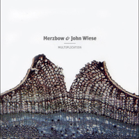 Merzbow - Merzbow & John Wiese: Multiplication (Split)