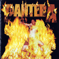 Pantera - Original Album Series - Reinventing The Steel, Remastered & Reissue 2011