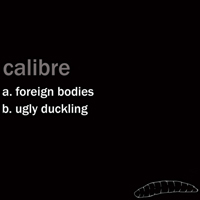Calibre (IRL) - Foreign Bodies (WEB Single)