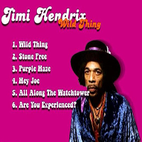 Jimi Hendrix Experience - Wild Thing (DVD)