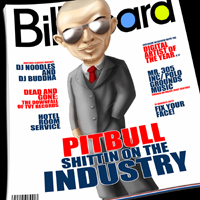 Pitbull (USA) - Shittin On The Industry (Presented by DJ Noodles & DJ Buddha)