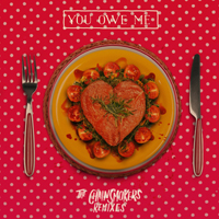 Chainsmokers - You Owe Me (Remixes) (EP)