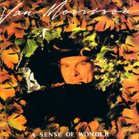 Van Morrison - A Sense Of Wonder (2008 Remaster)
