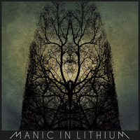 Manic In Lithium - Manic In Lithium