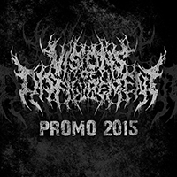 Visions Of Disfigurement - Promo 2015