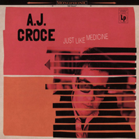 AJ Croce - Just Like Medicine