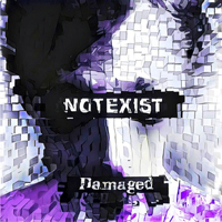 Notexist - Damaged