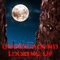 2015 Underground Looking Up