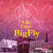 2018 Big Kahuna Og & Fly Anakin - Life & Times Of Bigfly (Ep)