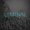2018 Liminal