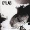 Cylab ~ Satellites