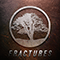 2016 Fractures (Single)