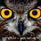 2011 Owl Eyes (Single)