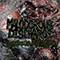 Malodorous Discharge - Ulcer In The Inguinal Region / Dirty Bottom (EP)