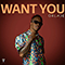 Oxlade - Want You (Single)