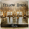 Yellow Horse - Burn