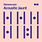 Michel-Yves Kochmann - Acoustic Jaunt