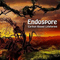 2008 Endospore (Single)