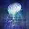 2016 Photosynthesis (Remixes)