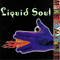 Liquid Soul (USA) ~ Make Some Noise
