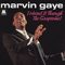 Marvin Gaye - I Heard It Through The Grapevine!