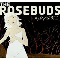 Rosebuds - Night Of The Furies