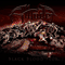 Allfader - Black Blood Flux