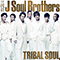 2011 Tribal Soul