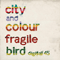 2011 Fragile Bird (Digital 45) (Single)