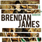 Brendan James - Hope In Transition