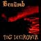2002 Benümb / Pig Destroyer (Split)