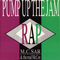 1989 Pump Up The Jam - Rap