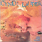 Cyndi Lauper ~ True Colors