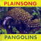 2003 Pangolins