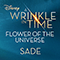 2018 A Wrinkle In Time (Single)