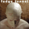 Fudge Tunnel - The Complicated Futility Of Ignorance