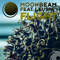 2013 Moonbeam feat. Leusin - Flight (EP)